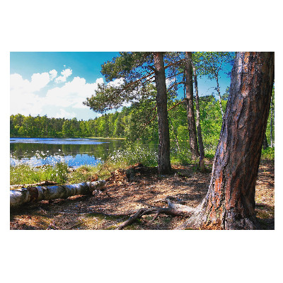 Fototapeta z widokiem na leśne rozlewisko