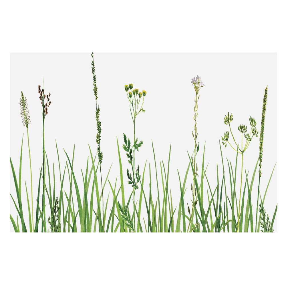 Tapeta fotograficzna flizelinowa Subtelna flora polna