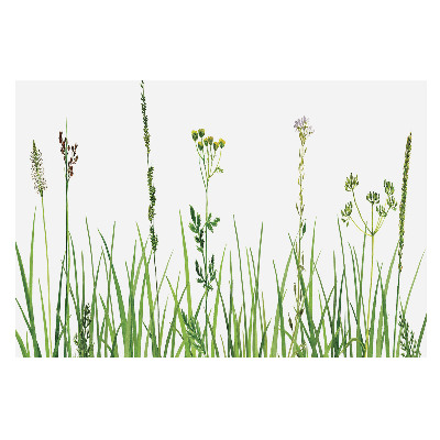Tapeta fotograficzna flizelinowa Subtelna flora polna