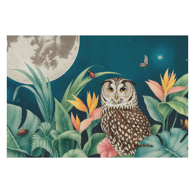 Fototapeta przedstawiająca nocne safari z sową