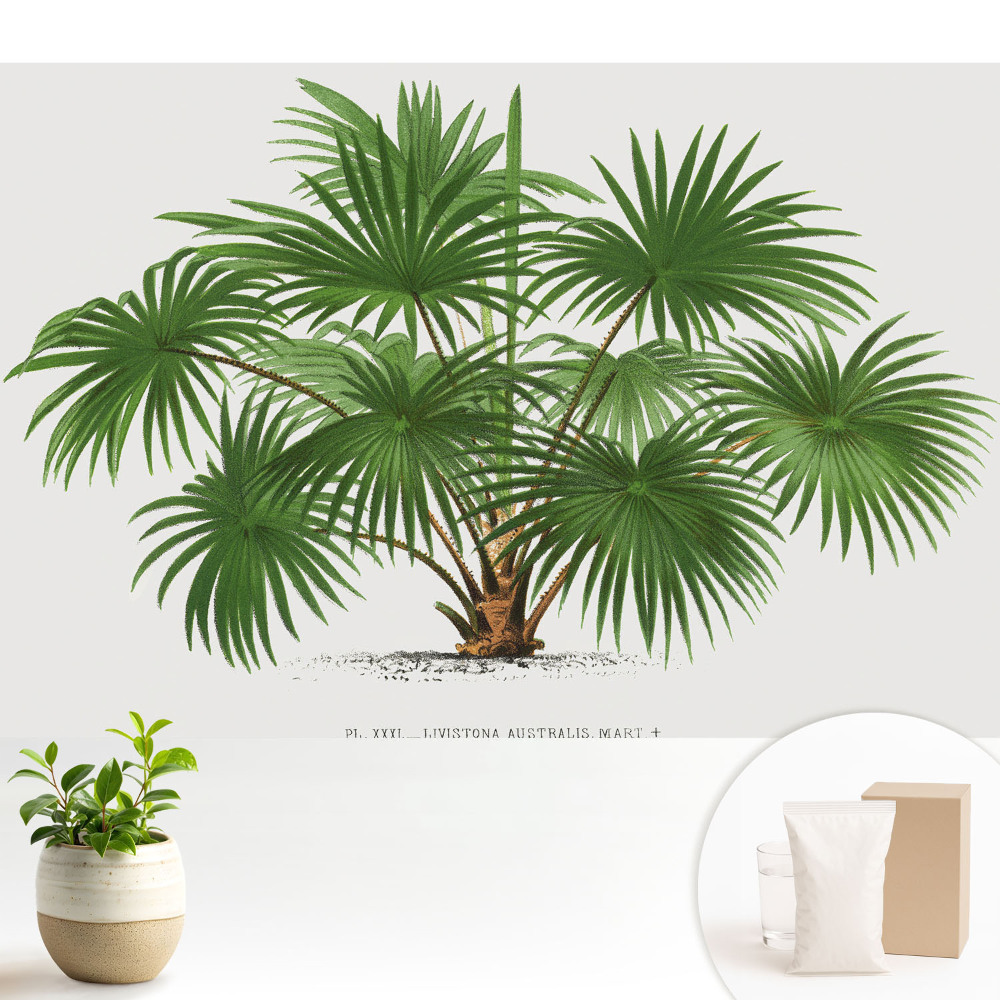 Fototapeta do salonu z motywem symetrycznych palm