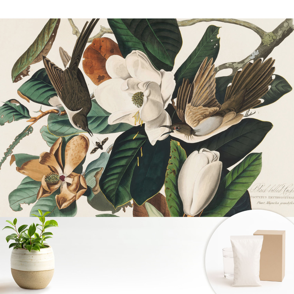 Fototapeta z nadrukiem na flizelinie z motywem magnolii i ptaków
