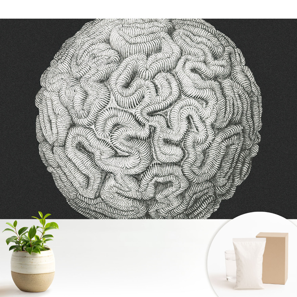 Nowoczesna fototapeta na wymiar Srebrzysta sfera
