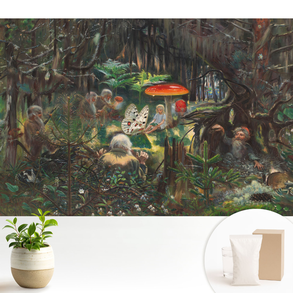 Fototapeta na wymiar do sypialni z motywem magicznej scenerii leśnej