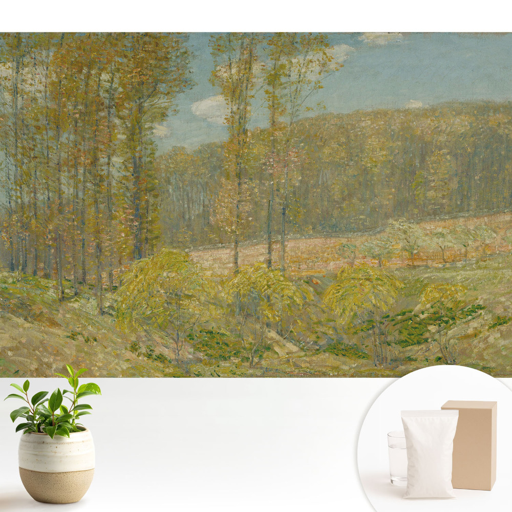 Nowoczesna fototapeta na wymiar z motywem naturalnego widoku leśnego