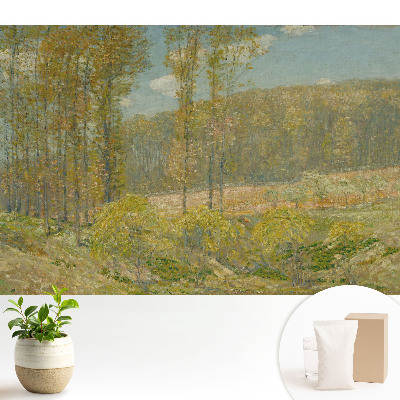 Nowoczesna fototapeta na wymiar z motywem naturalnego widoku leśnego