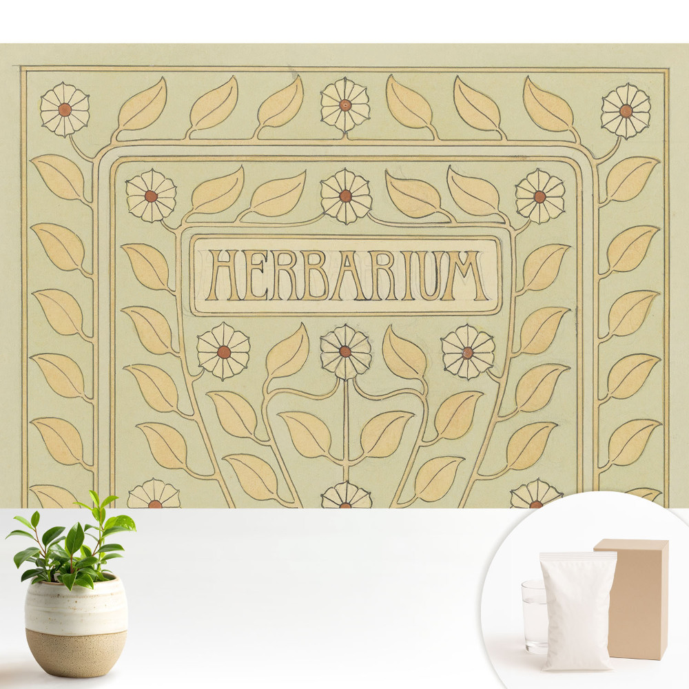 Nowoczesna fototapeta na wymiar z secesyjnym motywem zielnika (herbarium)