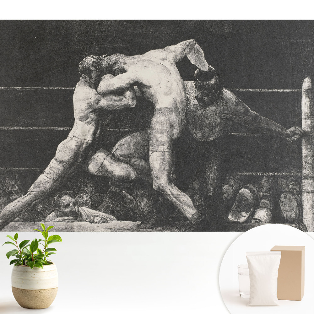 Tapeta fotograficzna flizelinowa z motywem emocjonującego starcia na ringu