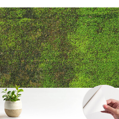 Fototapeta na wymiar Organiczna tekstura mchu