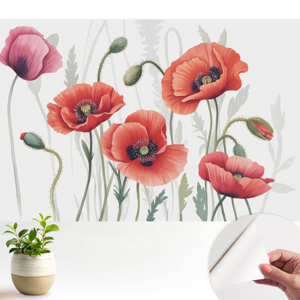 Fototapeta z nadrukiem samoprzylepna z botanicznym portretem czerwonych maków