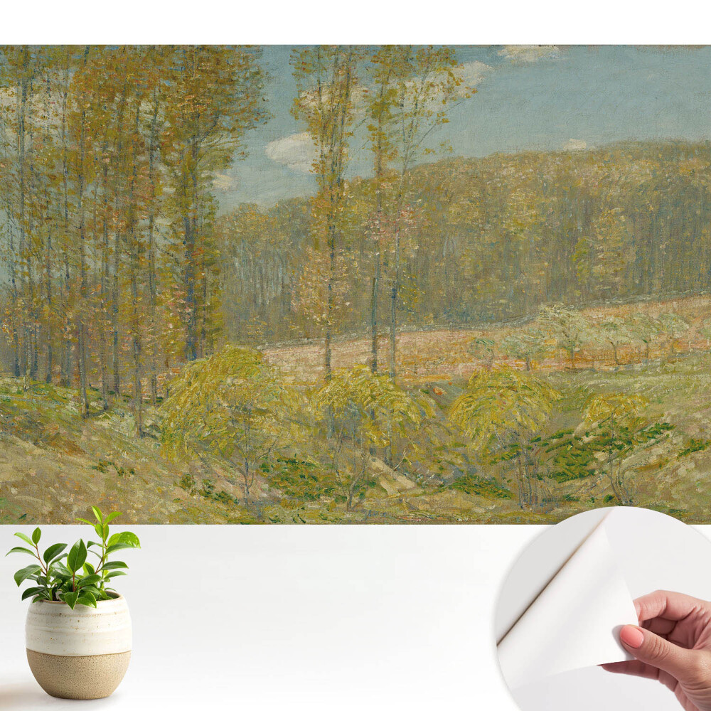Tapeta fotograficzna samoprzylepna naturalny widok leśny