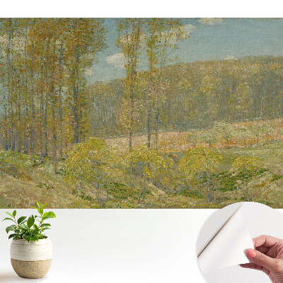 Tapeta fotograficzna samoprzylepna naturalny widok leśny