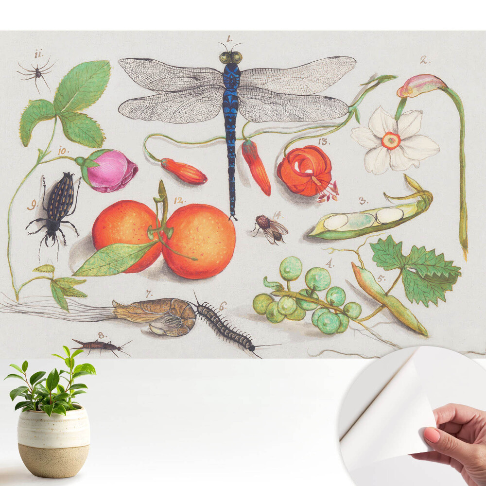 Fototapeta na wymiar Botaniczne zestawienie z owadami