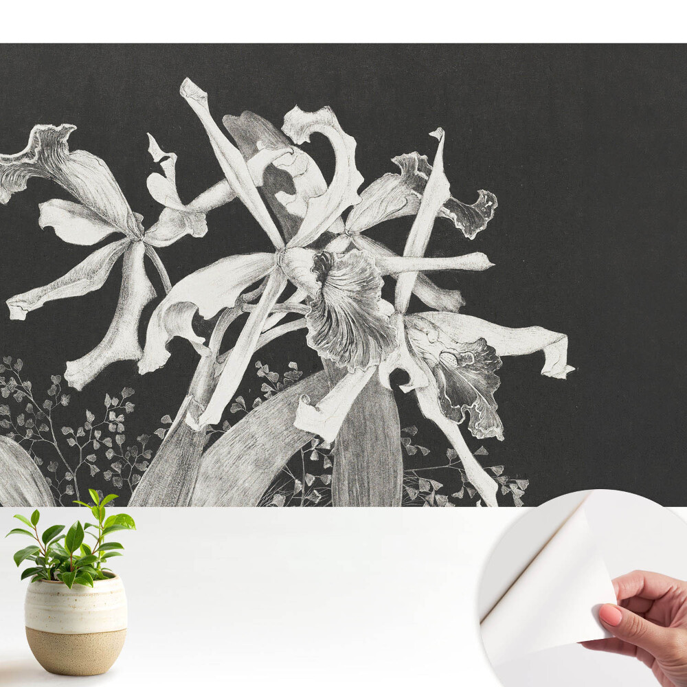 Tapeta fotograficzna samoprzylepna elegancka mroczna orchidea