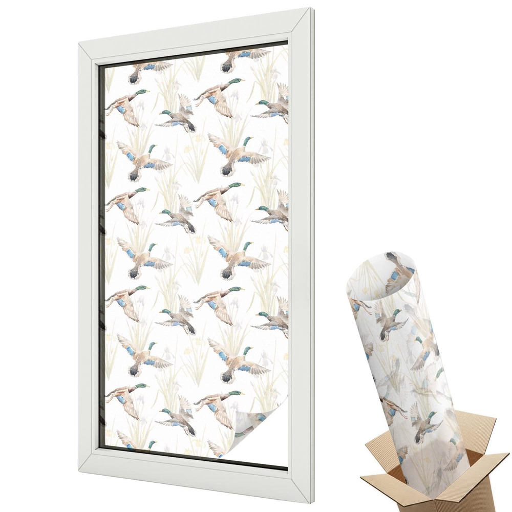 Dekoracyjna folia okienna Kaczki w locie natura