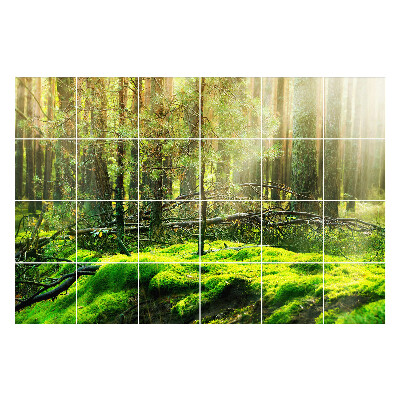 Naklejki na kafelki do kuchni Zielony las z mchem