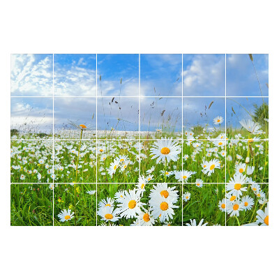Naklejki na kafelki do kuchni Kwiatowy krajobraz łąkowy