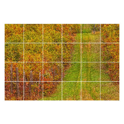 Naklejki samoprzylepne na kafelki Jesienny szlak w naturze