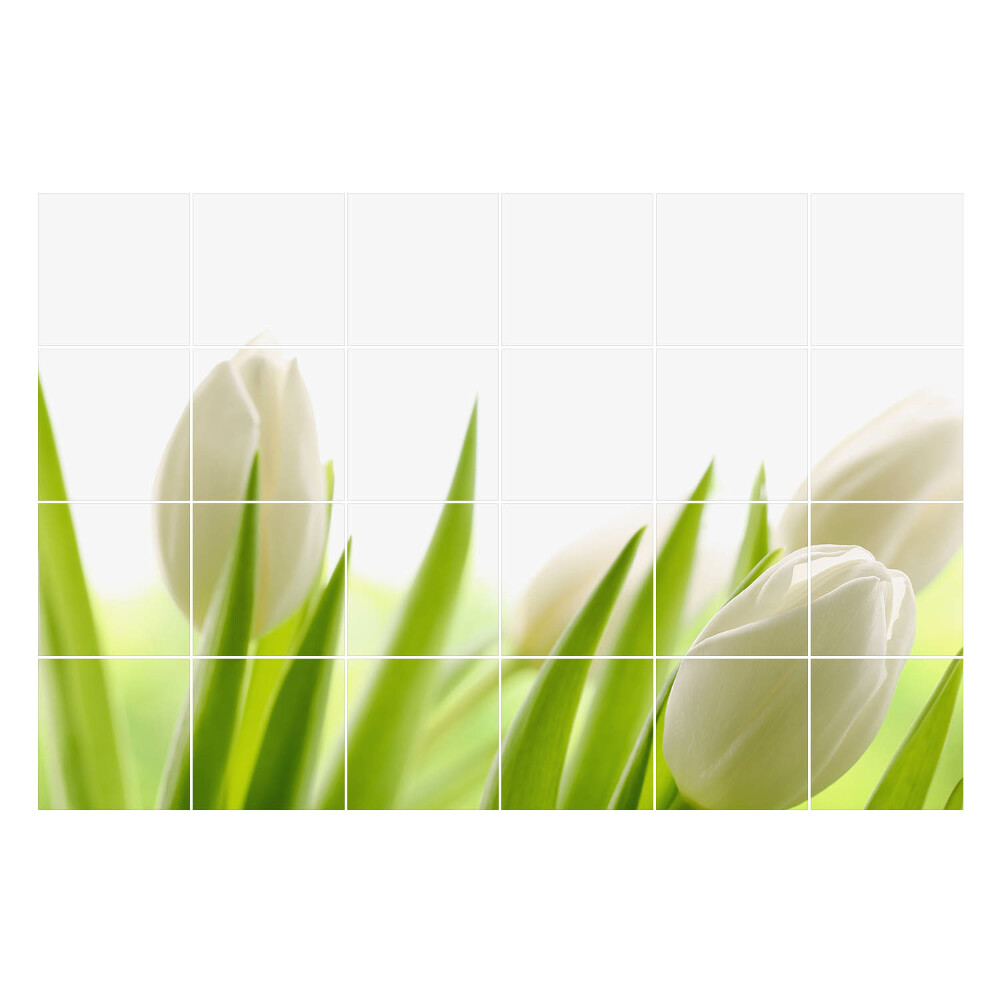 Okleina na płytki Delikatne tulipany w naturze