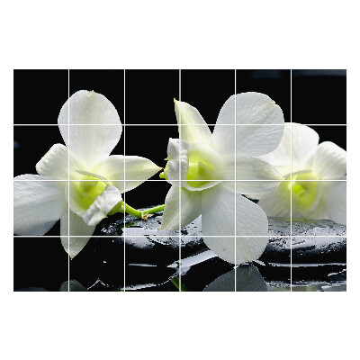 Naklejki samoprzylepne na kafelki Kwiaty na wodzie