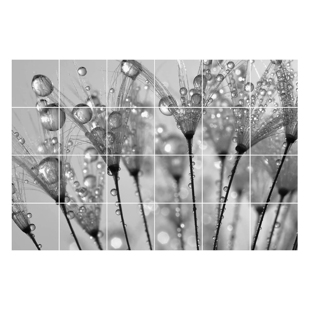 Okleina na płytki Krople na delikatnych łodygach