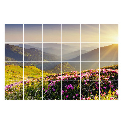 Naklejki na kafelki do kuchni Krajobraz górski z kwiatami