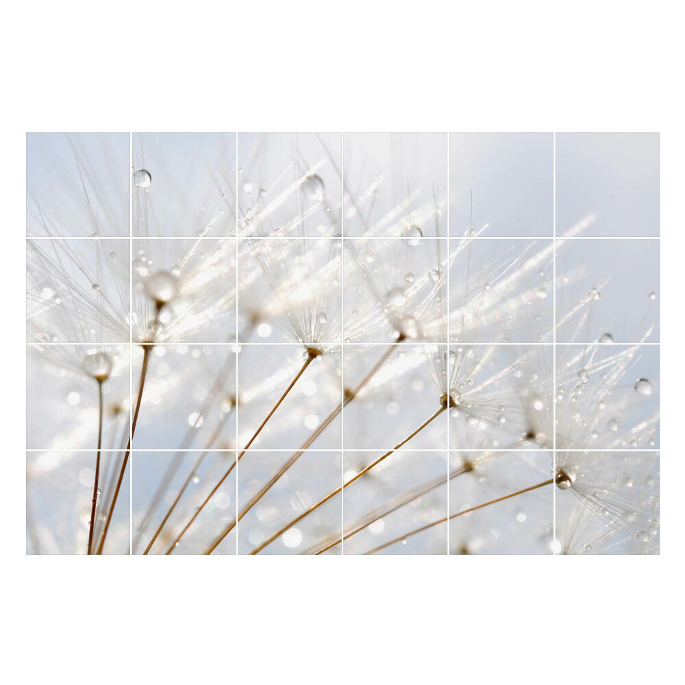 Okleina na płytki Krople na puchu dmuchawca