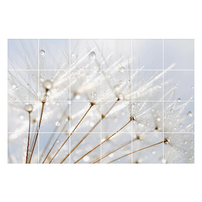 Okleina na płytki Krople na puchu dmuchawca