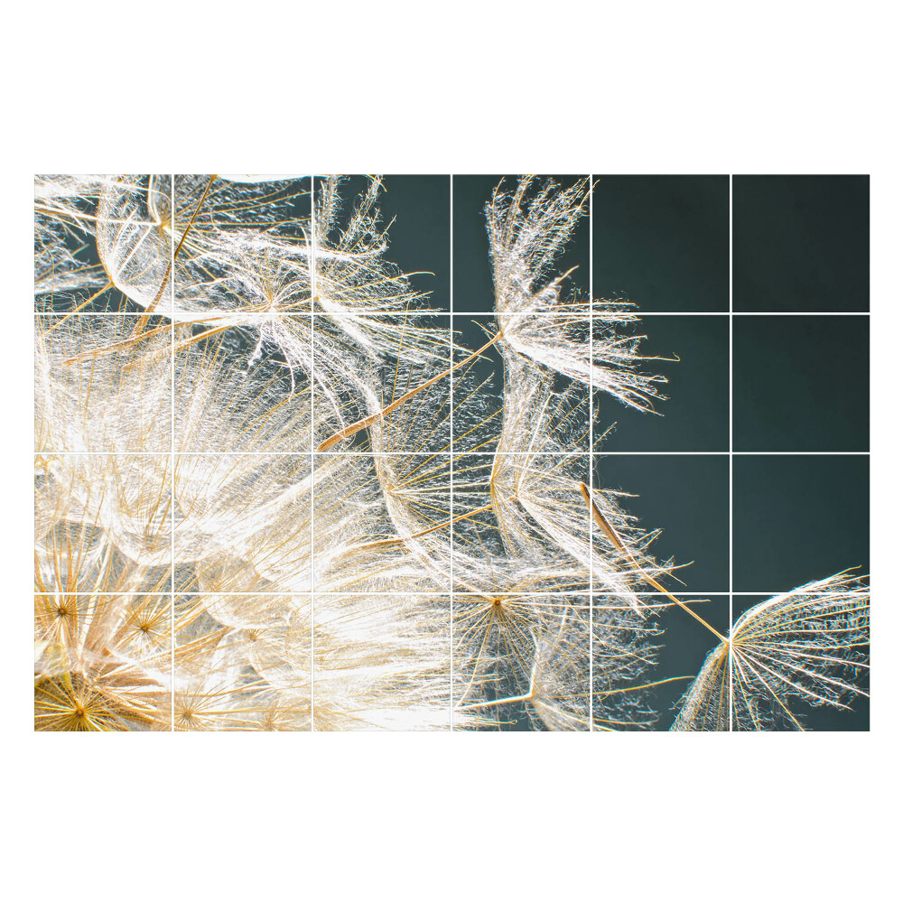 Naklejki na kafelki do kuchni Delikatne nasiona dmuchawca