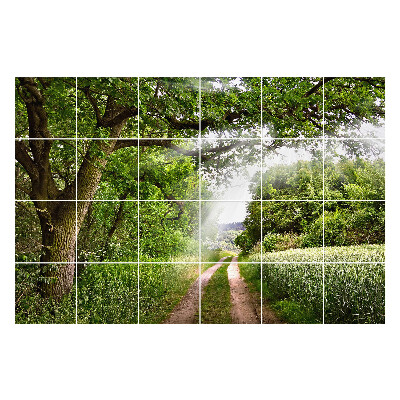 Naklejki samoprzylepne na kafelki Zielona ścieżka w lesie