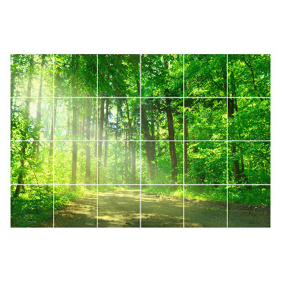 Naklejki na kafelki do kuchni Leśna ścieżka w promieniach