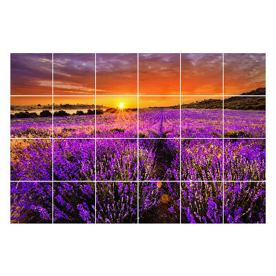 Okleina na płytki Kwiatowy krajobraz o zachodzie