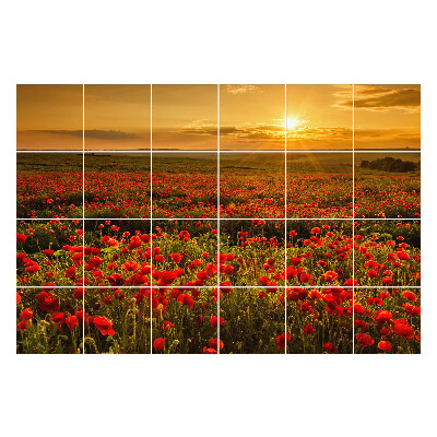 Naklejki samoprzylepne na kafelki Kwiatowa łąka o zachodzie