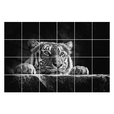 Naklejki samoprzylepne na kafelki Tygrys w zbliżeniu