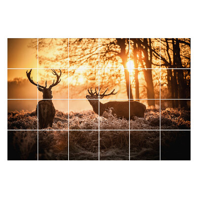 Naklejki na kafelki do kuchni Jelenie w porannej mgle