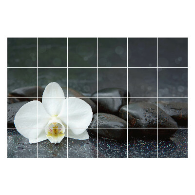 Naklejki samoprzylepne na kafelki Kwiat na kamieniach wodnych