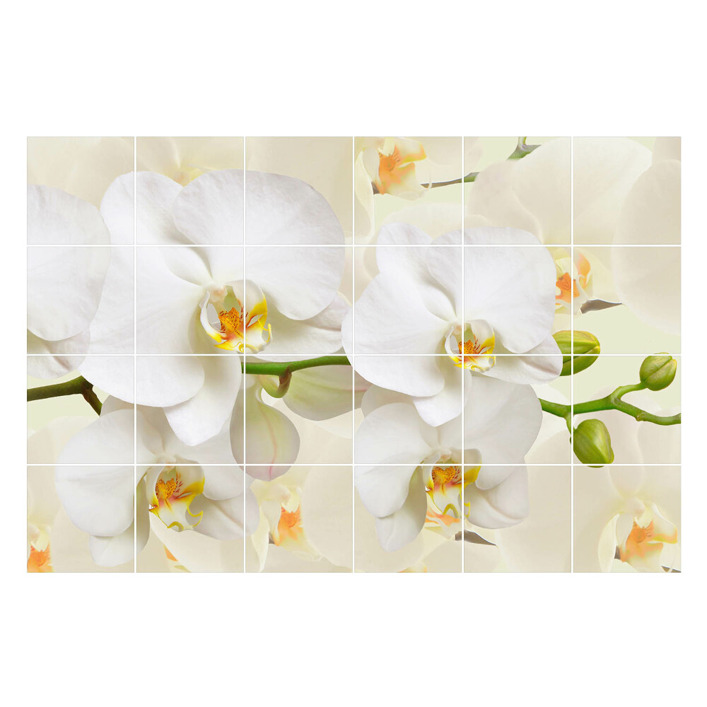 Naklejki na kafelki do kuchni Kwiatowe motywy orchidei