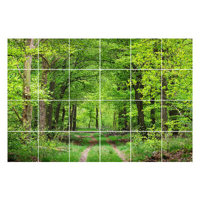 Naklejki na kafelki do kuchni Leśna ścieżka w naturze