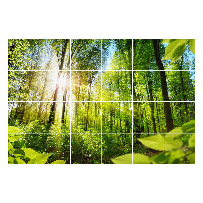 Naklejki samoprzylepne na kafelki Promienie słońca w lesie