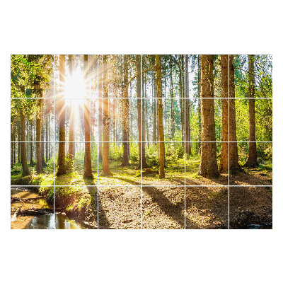 Okleina na płytki Leśna sceneria z promieniami