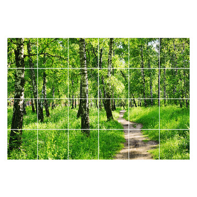 Naklejki na kafelki do kuchni Leśna ścieżka w naturze