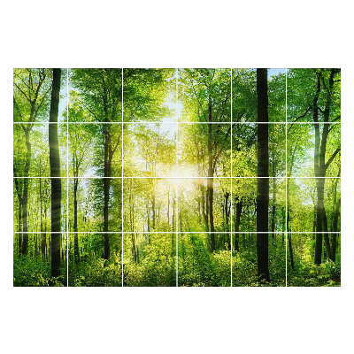 Okleina na płytki Zielony las z promieniami