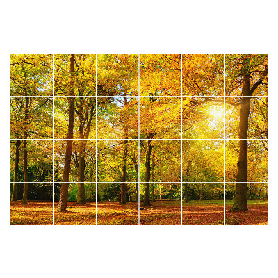 Naklejki na kafelki do kuchni Złote liście w lesie