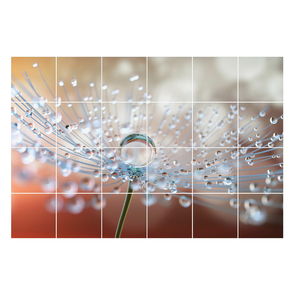 Naklejki na kafelki do kuchni Krople na delikatnym pędzie