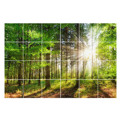 Okleina na płytki Promienie słońca w lesie