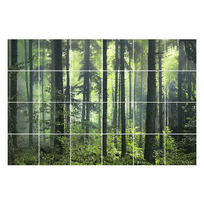 Naklejki samoprzylepne na kafelki Gęsty las z mgłą