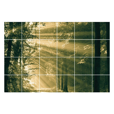 Okleina na płytki Promienie światła w lesie