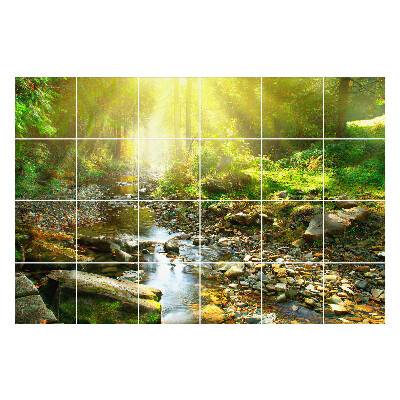 Naklejki samoprzylepne na kafelki Leśny strumień w słońcu