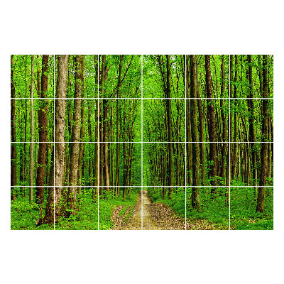 Naklejki na kafelki do kuchni Zielony leśny szlak