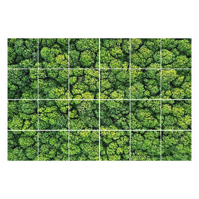 Naklejki na kafelki do kuchni Gęsty las z drzewami